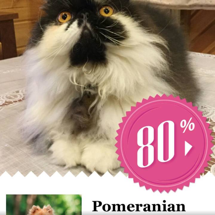 B6048b4b 3d72 48fd 848c fdcbe0a9b3dc