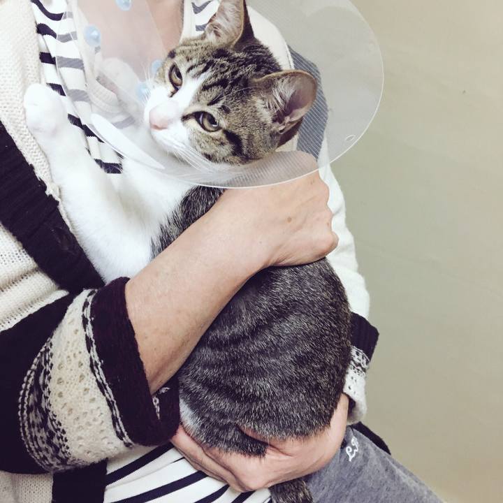 B60497ba f3db 4c78 8005 d121313f2f62