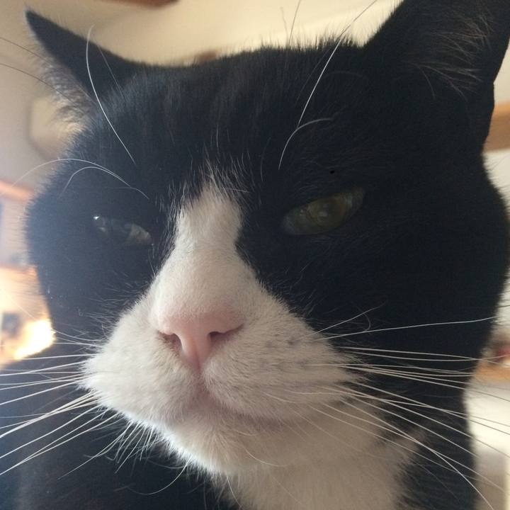 B6052225 7097 415f 85ac b08dc19f18f9