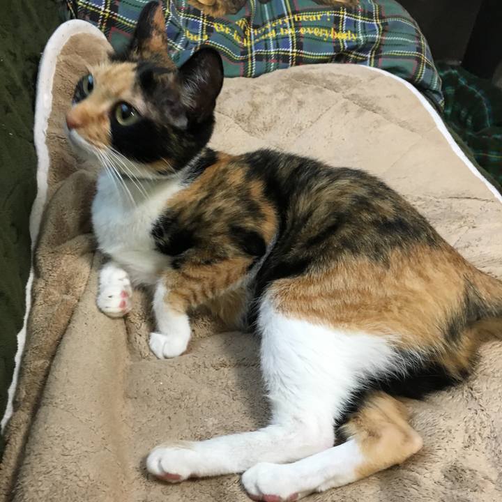 B60554ce fe89 4c89 84c8 2d080d743925