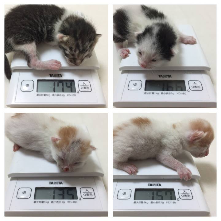 B6060b37 3a20 4bdd 88b8 ec4a21f3943c