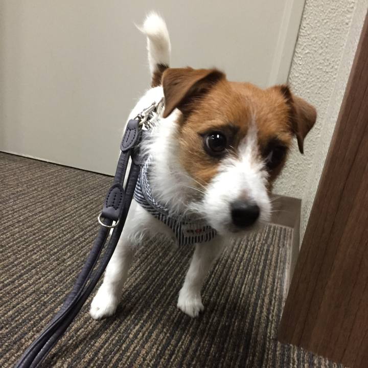 B60680e0 bf7a 4db2 8ebb a74d3fa87107