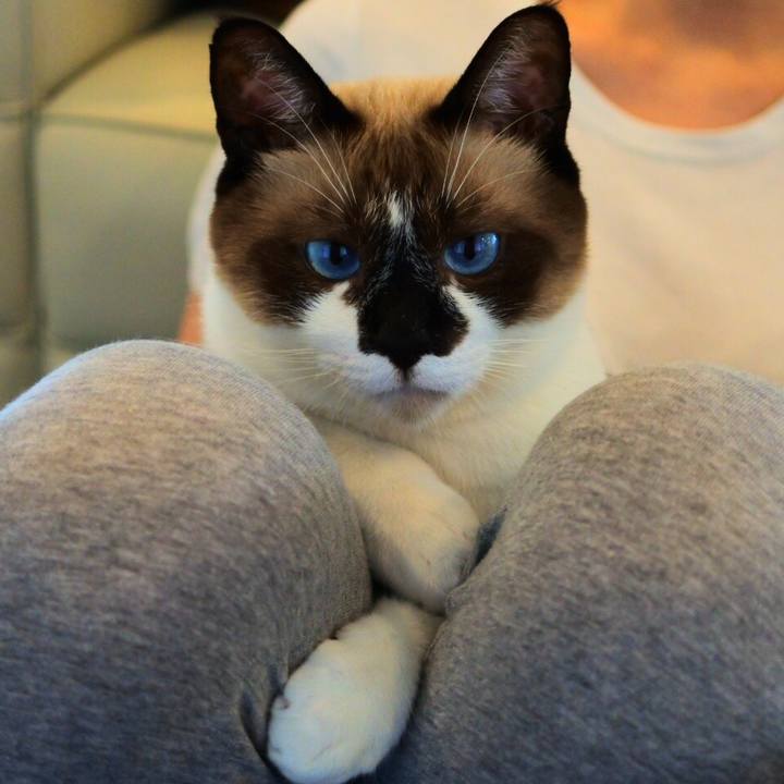 B606be6a 18ec 41f6 bbaa 0094ce7c2ef6