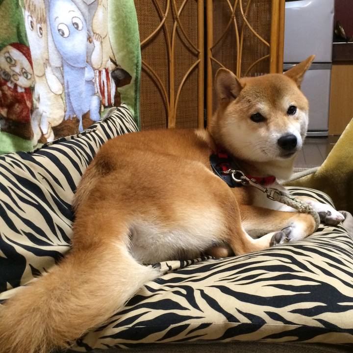 B606de11 01fc 40b2 8daf 06a79d9083d9