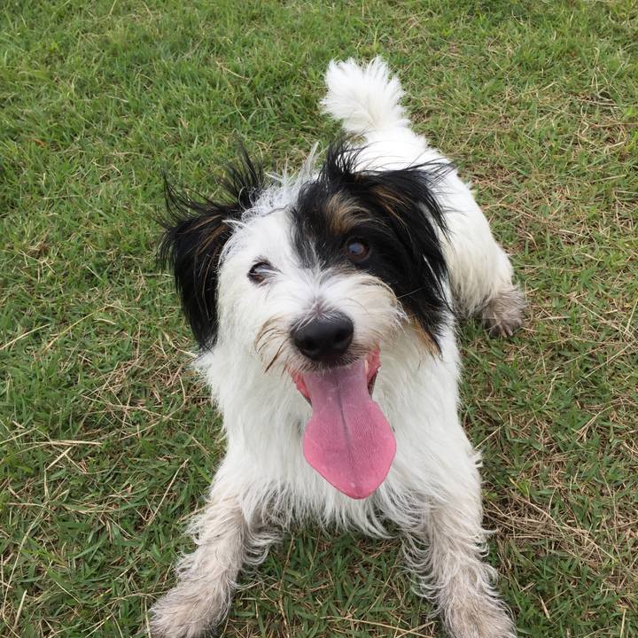 B60759e3 c268 420f 888d db69b68ac751