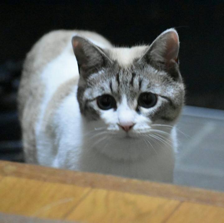 B6076343 1523 4441 91c2 7213876b48ba