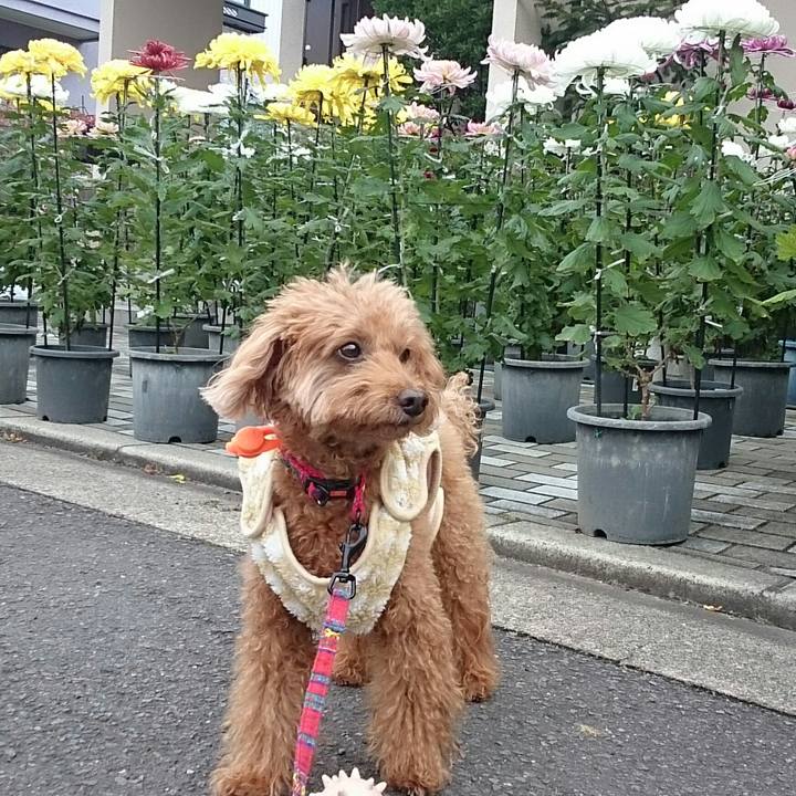 B607fa2d b45f 4805 a901 a7ff2c221019