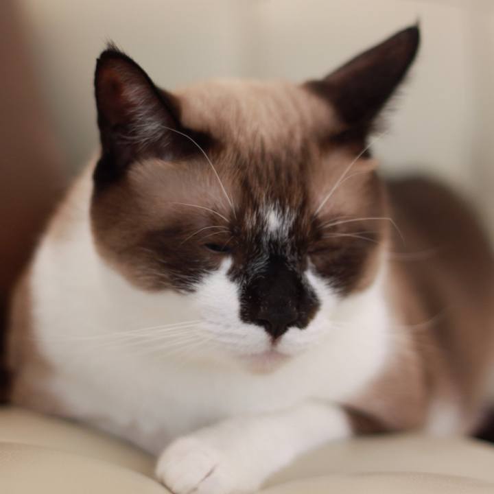 B6089623 aada 4d14 bafd d5ebc6bd5351