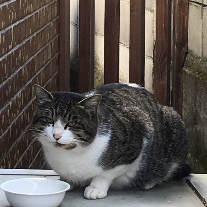 B60896c9 f779 44b6 9647 856e4696cd4e