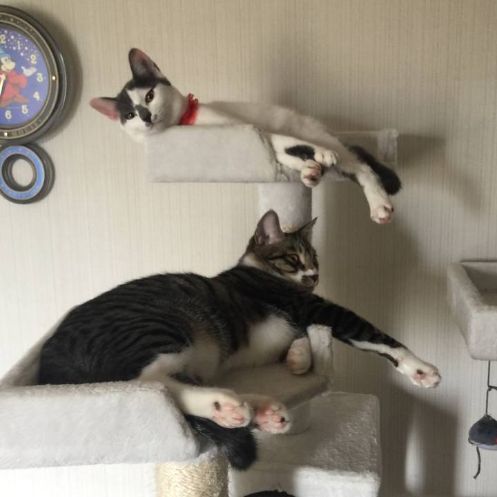 B60898b1 b7c3 44fb 9913 64029e328efe