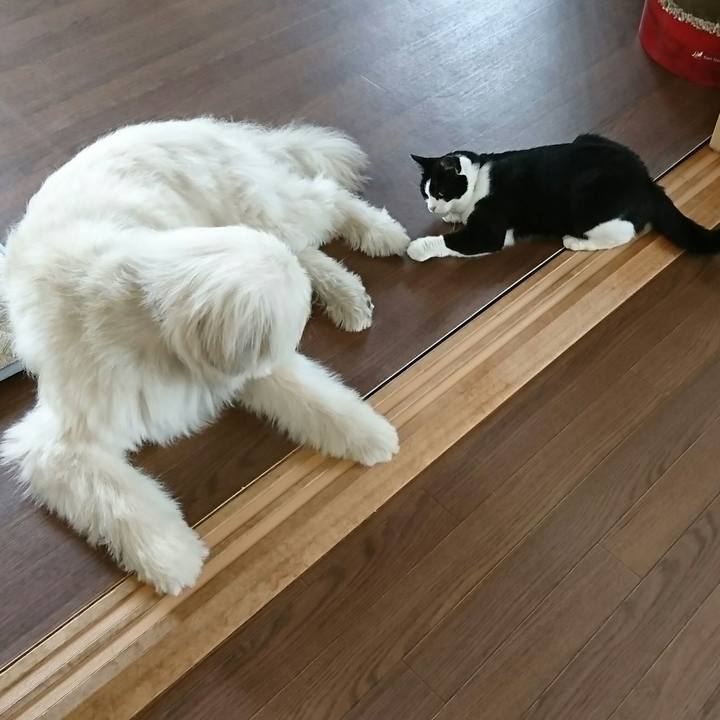 B6097a25 e773 4703 8391 9454367141c5