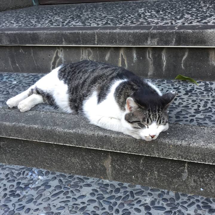 B609b578 c8ae 4b6f abdb 9c7112200f45