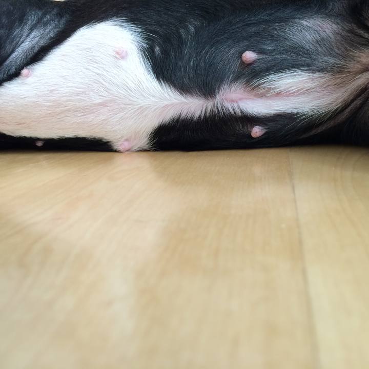 B60a5fb4 175b 4a5b b0a0 e4d676e9b9cb