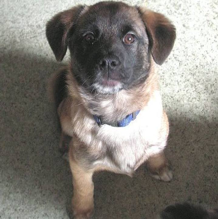 B60c5704 83a8 4d0e abfb 00b8ff938a46