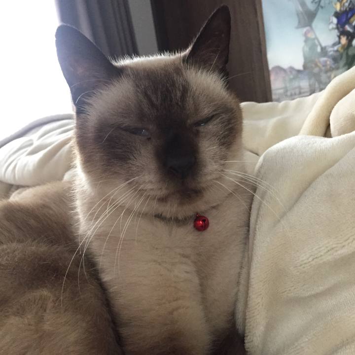 B60d24c0 c8f0 4731 8185 b71439d67cf0