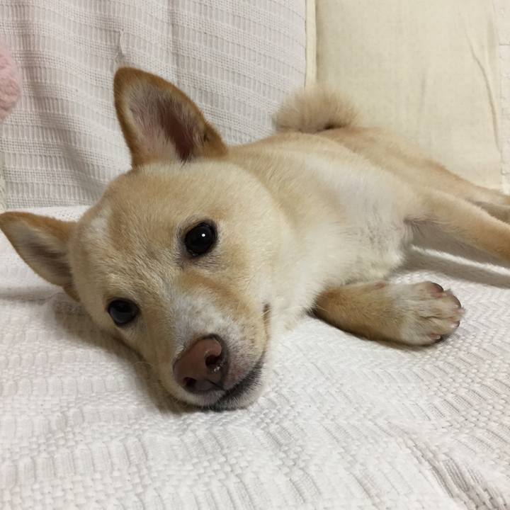 B60d9c14 4af4 4d77 9285 3e367dec17d8