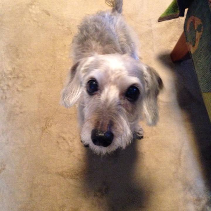 B60e0601 3d1f 49dc 9530 4ee2b6479518