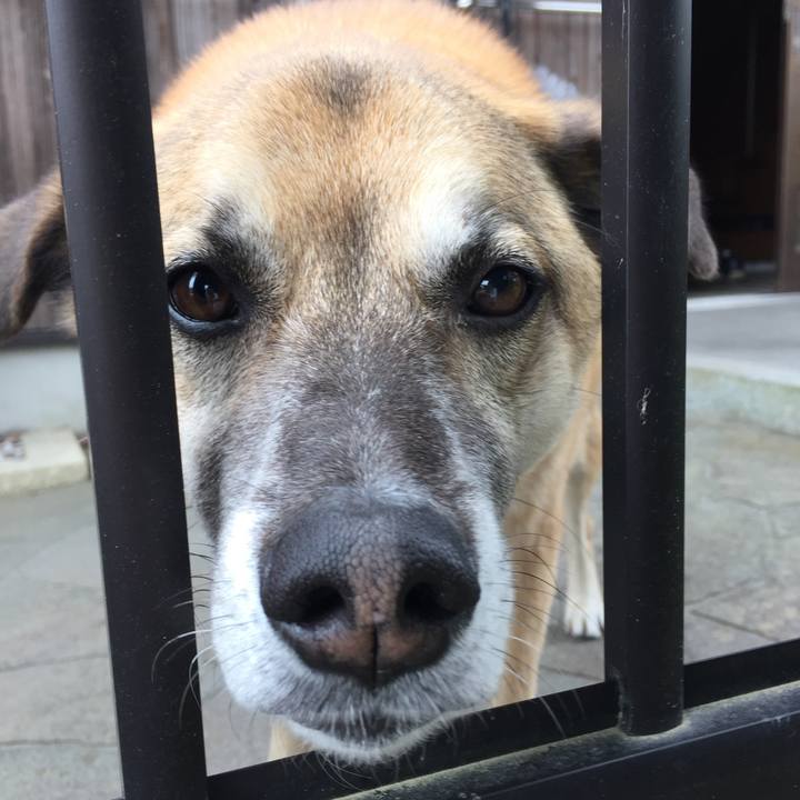 B60e0ed0 4a8f 4ed6 8d5d b46032abdcc6