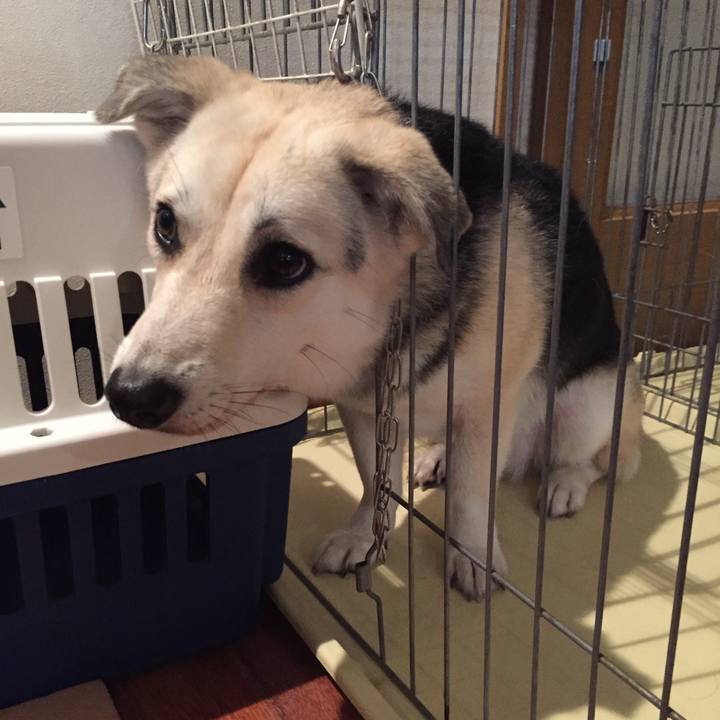 B60f01ae ce73 4850 b472 3aef2c86e3ae