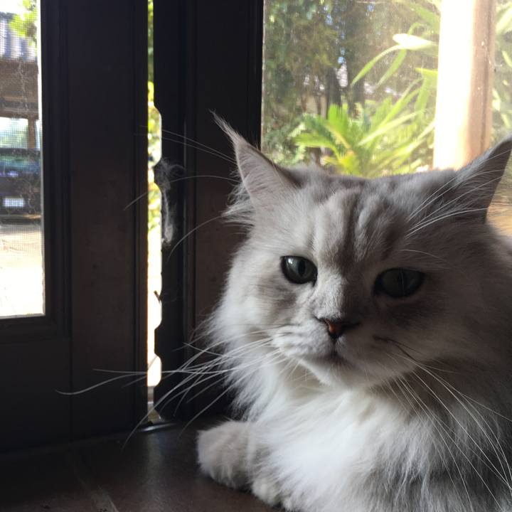 B60f2857 d541 4c54 ad04 c8dd1b79b1ba