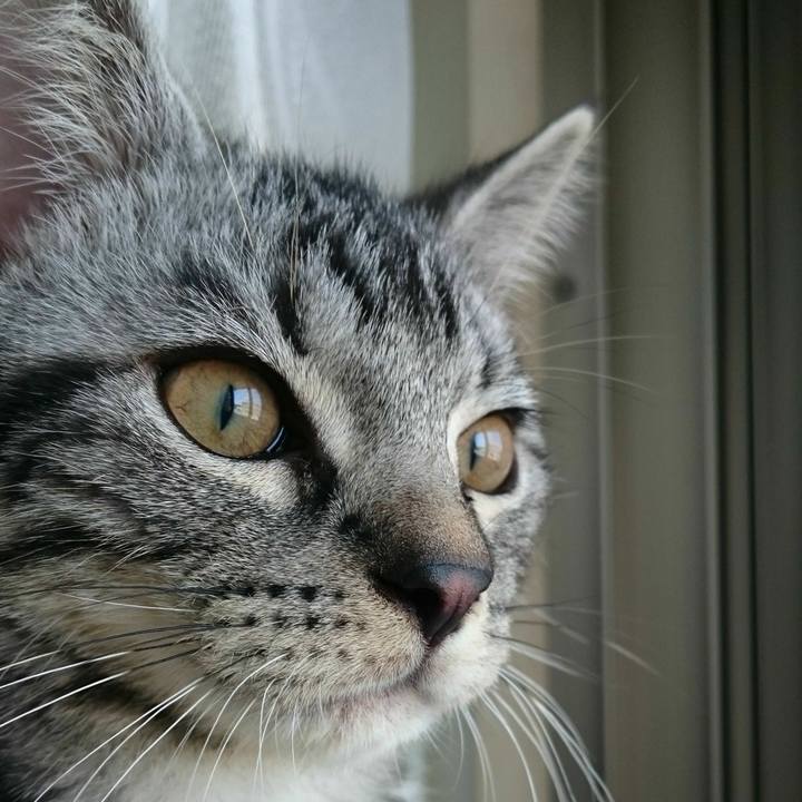 B60f3bff 1785 4c69 8837 f1869a971d74