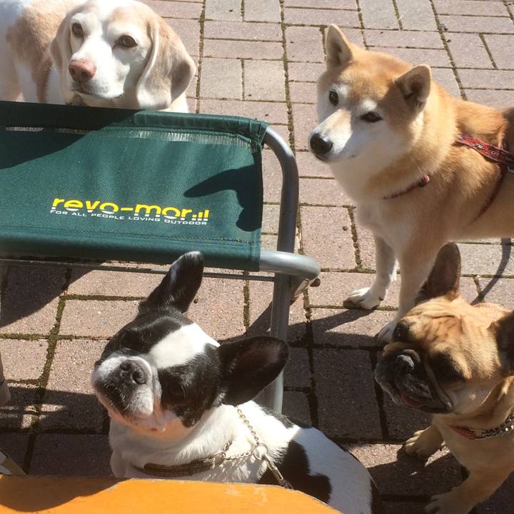 B60f5a55 575c 4011 b8eb ecd9e4f3e458