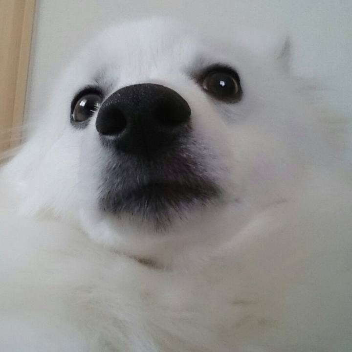 B60f7b5d a43b 4860 bb29 0284759affca