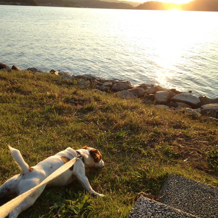 B60f9c4a 6986 4952 bb45 8bc0e0365442