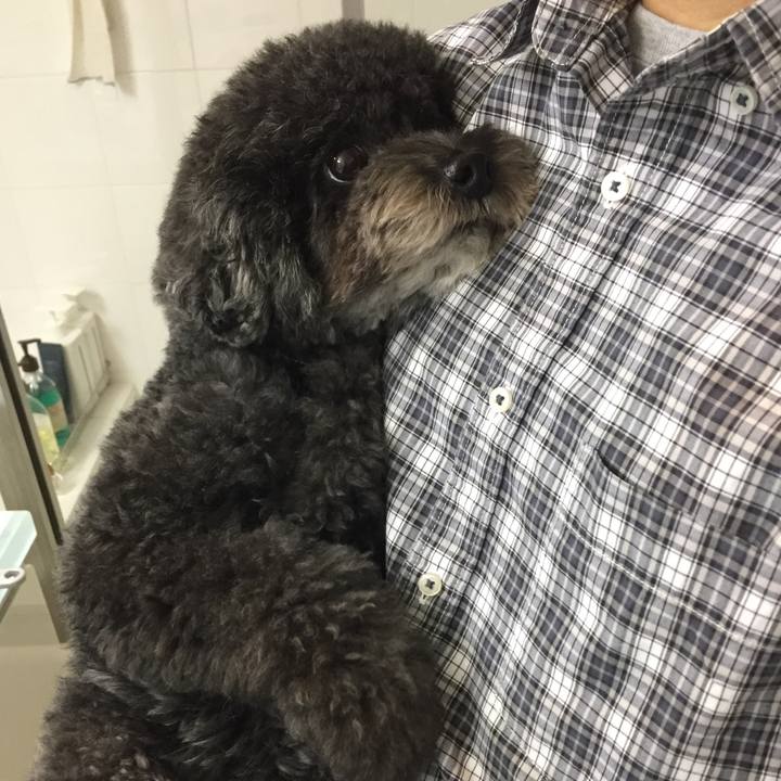 B60fdaf1 8071 49be 9485 aa6ca84c8bde