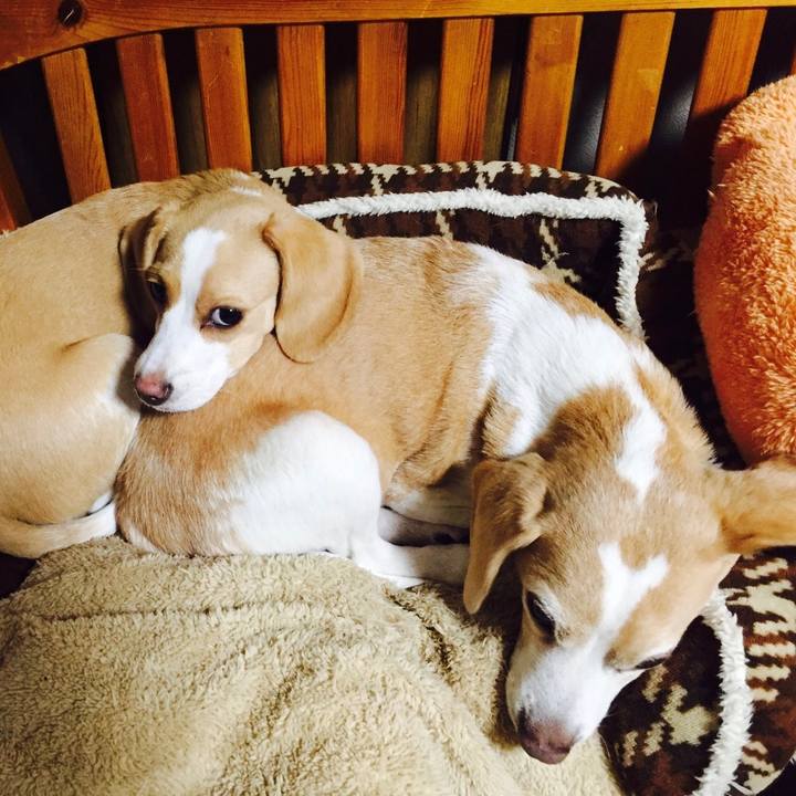 B6101591 1956 4da9 93ec 99f2b2398b56