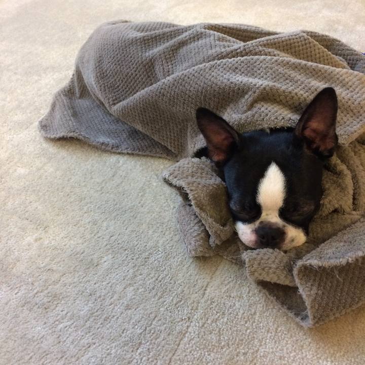 B6101da3 227a 4f2c 8db3 38c110c2e96c