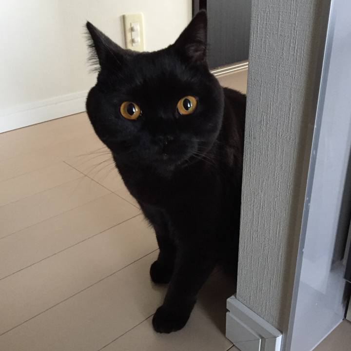 B61020df 62d0 4e91 a54f fe3ee0a8d4a3