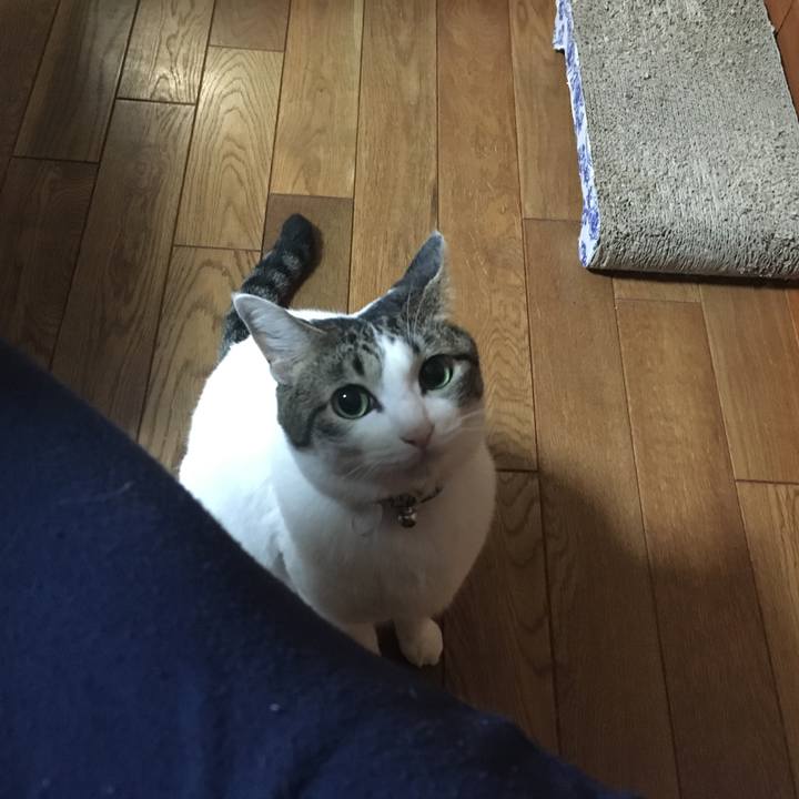 B6107c49 8f65 4019 9603 5bbe102f4277