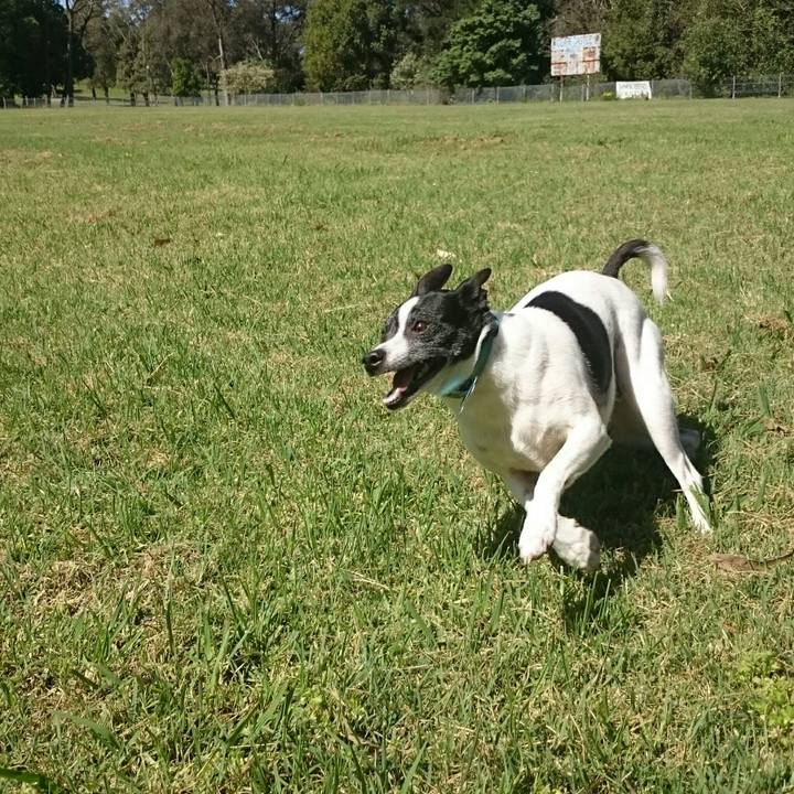 B6108469 d9b8 4ff7 bb3d 7ec76e8a6808