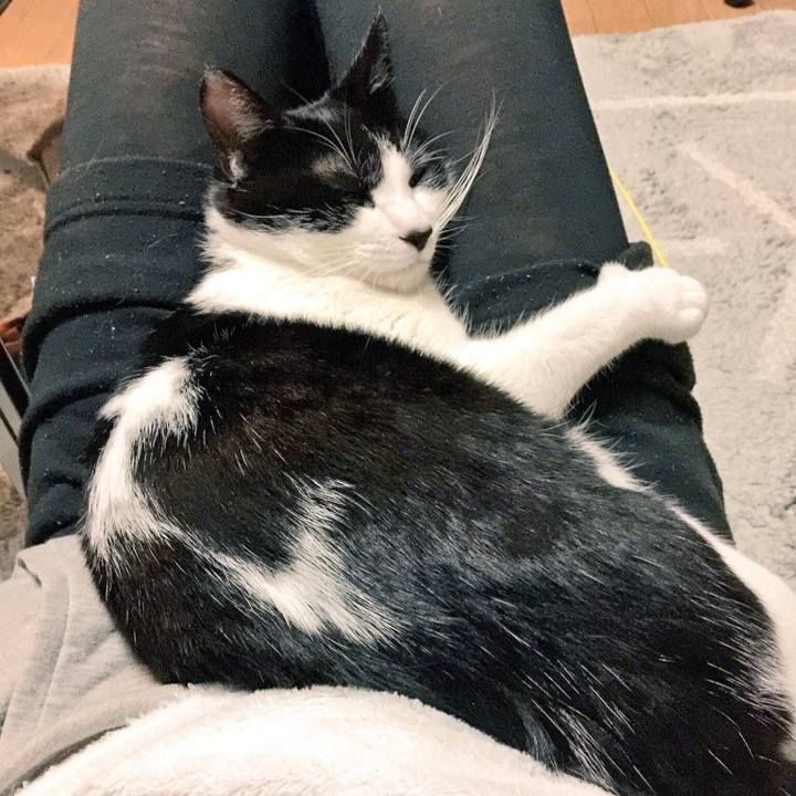 B610a218 f6d5 48cd 8e9d 666f5f3f2a9b