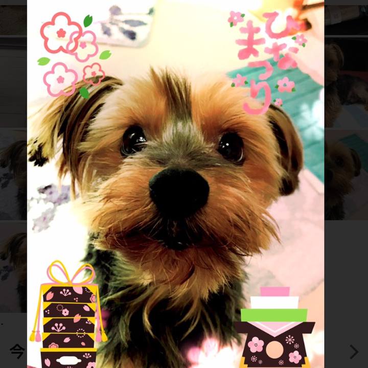 B610bb5d 8ca8 4407 a2c1 246e26af11b3