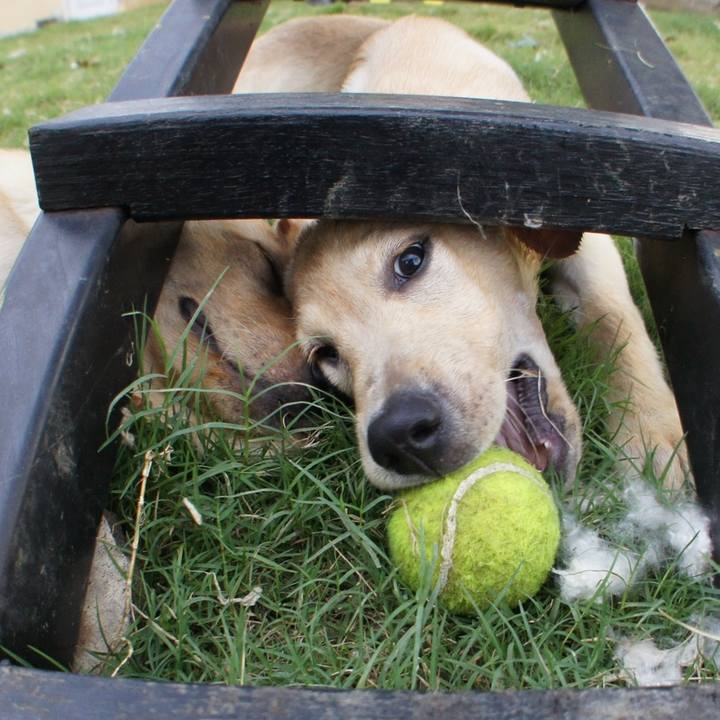 B61100fd 2667 479e 8d22 abd23a4259ea