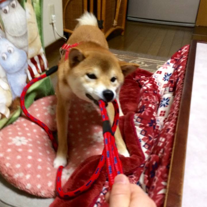 B6114d4f aec0 4cb2 b5bb 13a0f34c42d1