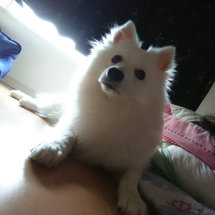 B6116dff fa29 428e 85aa ac5d52aab651