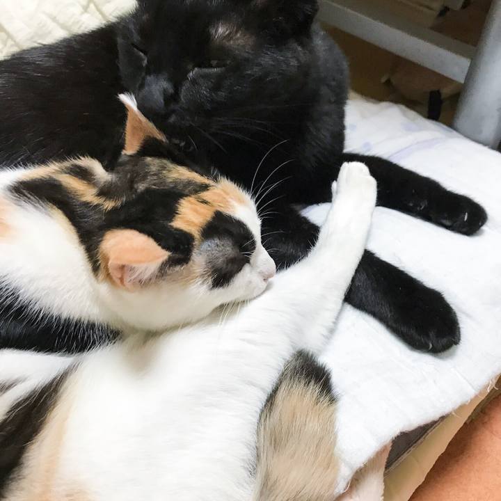 B611b7a9 f5ba 4ff1 ad75 7f1fcfc42706