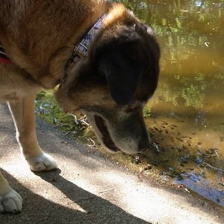 B6120554 abaa 4961 af5f 70e75959aa43