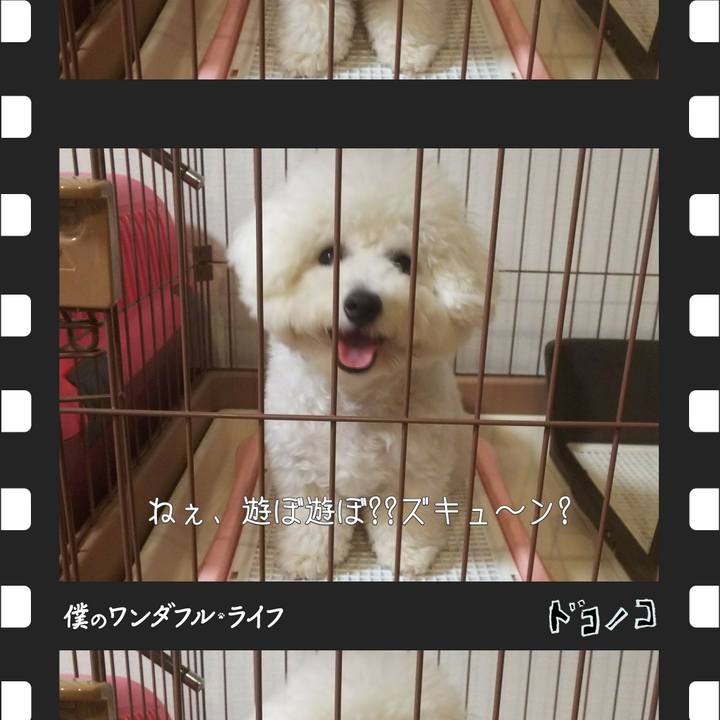 B6125e7d 8237 418b 9811 eae5347ef9eb