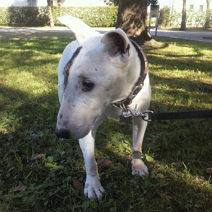 B6127058 514d 425e a5e1 f02f631a9624