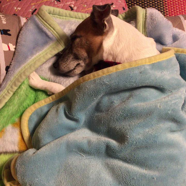 B612e146 7319 417c bd11 60e38dc572f2