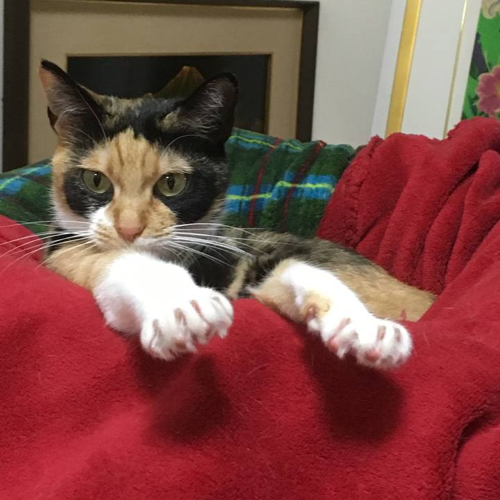 B61312d7 8666 4b2b bf21 1808461f5721