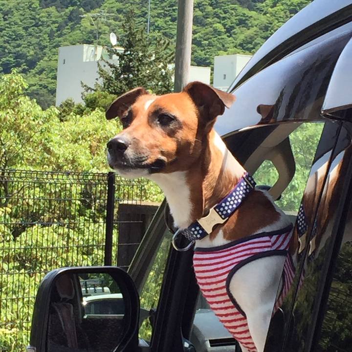 B61359af bbc6 4bf9 82d6 3bc1bc33a8fa