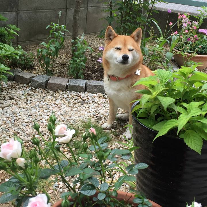 B6135a9e 44fa 4d3c b6e0 4eae8b1bd5e2