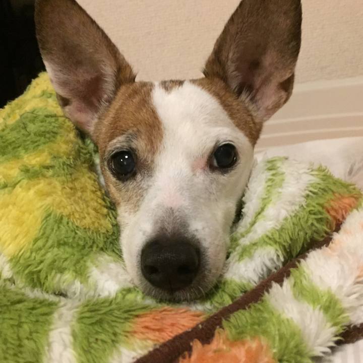 B613a9fa 522d 4440 8722 431e2e338f97