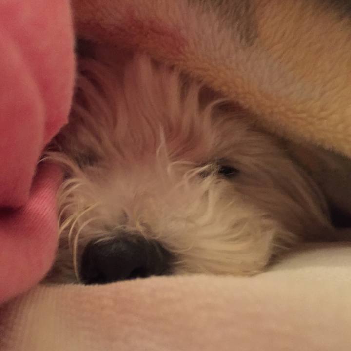 B61413ea d3f5 41e0 a8d4 66d0487658d6