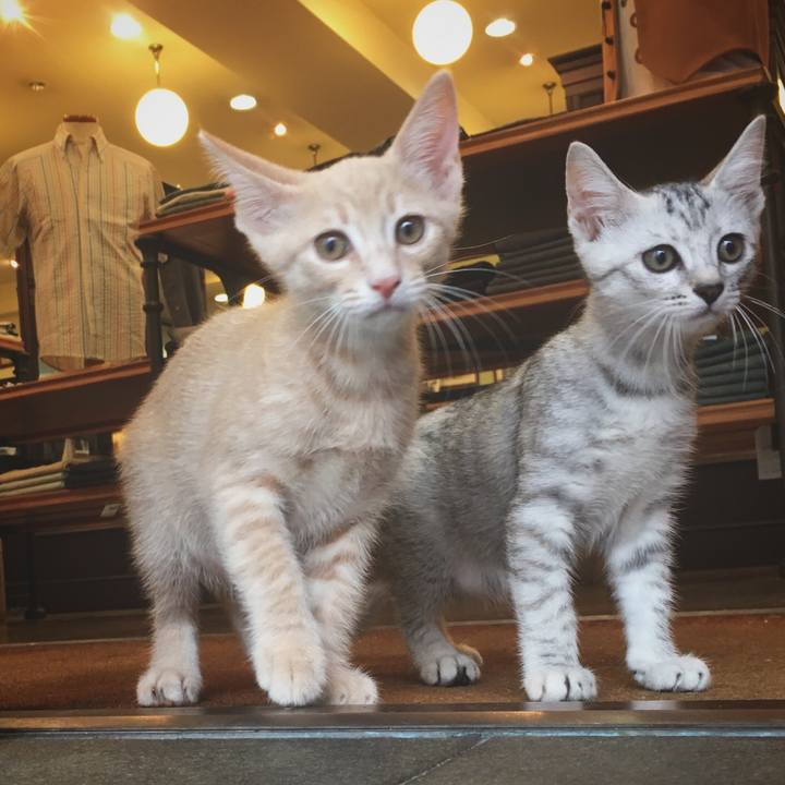 B614fef6 9c7d 4875 9d7f 2801083c19c5